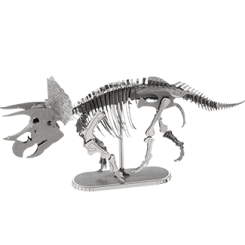 Triceratops Skeleton 
