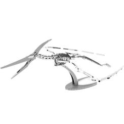 Pteranodon Skelet 