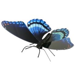 Red Spotted Purple 