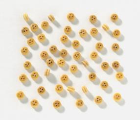 Jungfernblock 18 Stk 4 mm 