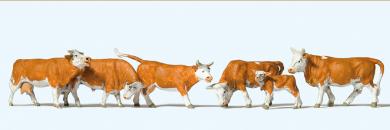 Kühe, braun gefleckt 