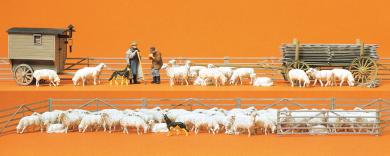 Schäferei mit Schafpferch,-ka 