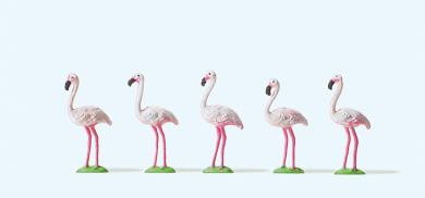 Flamingos 