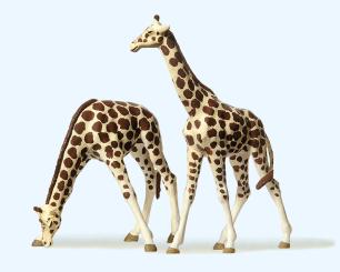 Giraffen 