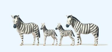 Zebras 