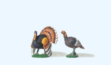 Truthahn mit Truthenne 