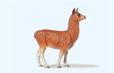 Lama 