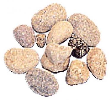 Bolsa de Piedras 