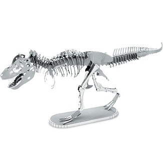 Tyrannosaurus Rex Skeleton 
