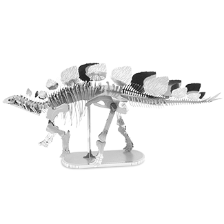 Stegosaurus Skeleton 