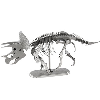 Triceratops Skelet 