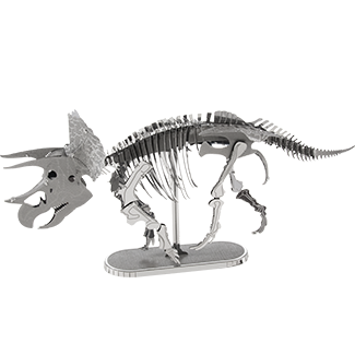 Triceratops Skeleton 