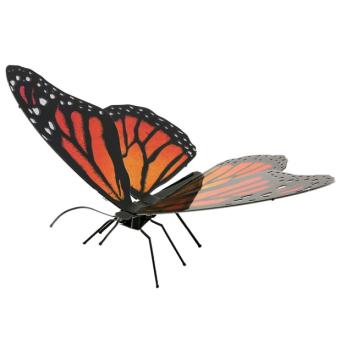 Monarch 