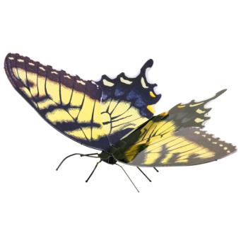 Tiger Swallowtail 