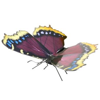 Mourning Cloak 
