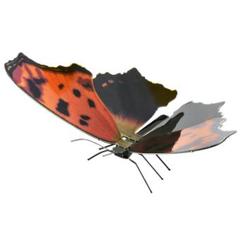 Eastern Comma 