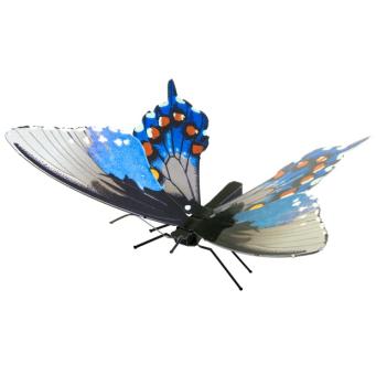 Pipevine Swallowtail 