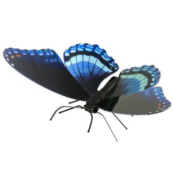 Red Spotted Purple 