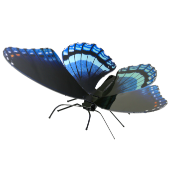 Red Spotted Purple 