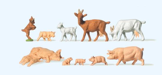 Ziegen und Schweine 