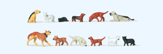 Hunde und Katzen 
