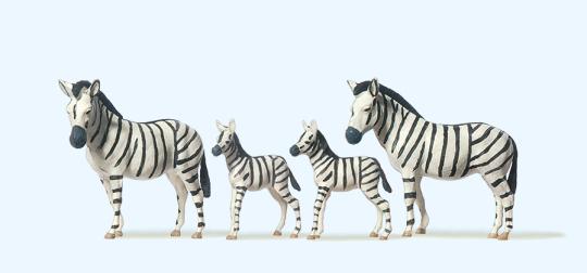 Zebras 