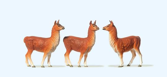 Lamas 