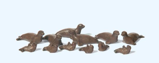 Seehunde 