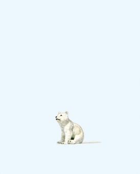 Junger Eisbär 