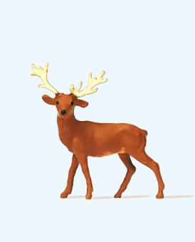 Hirsch 