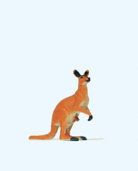 Känguruh 