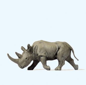 Afrikanisches Nashorn 