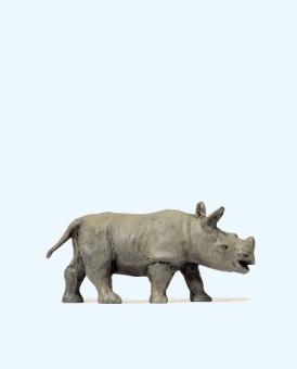 Junges afrikanisches Nashorn 