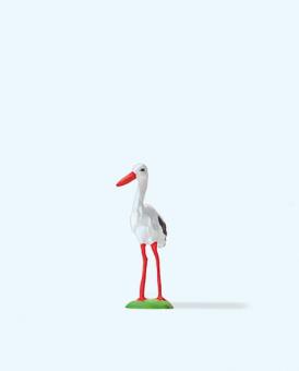 Storch 
