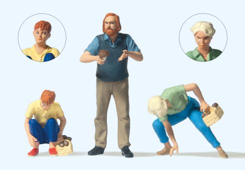 Mushroom pickers 