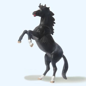Pferd steigend 