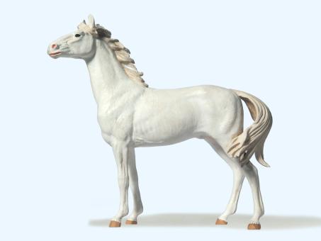 Pferd stehend 