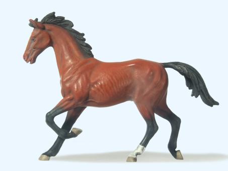 Pferd trabend 