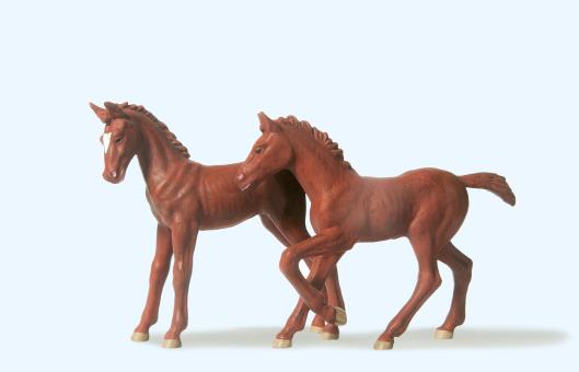 2 Fohlen stehend und springen 