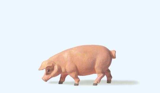 Schwein gehend 