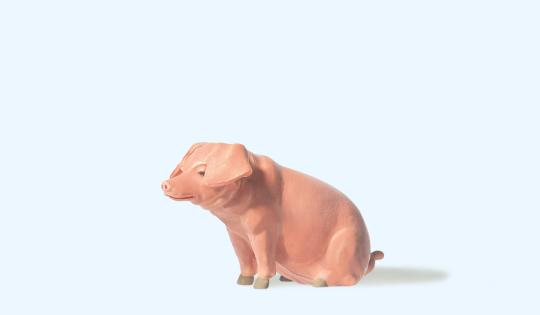 Schwein sitzend 