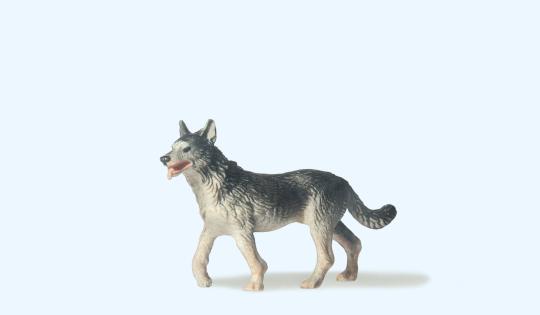 Schäferhund 