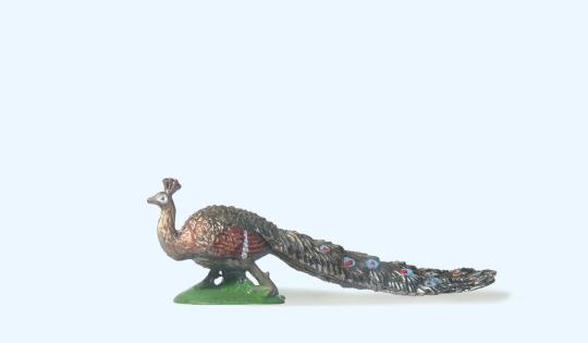 Pfau mit Schleppe 