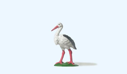 Storch 