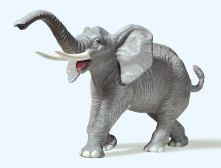 Afrikanischer Elefant 