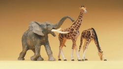 Giraffe fressend 