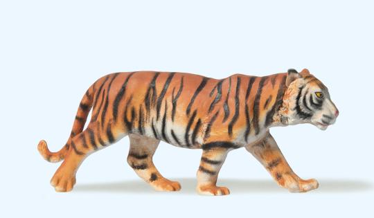 Tiger gehend 