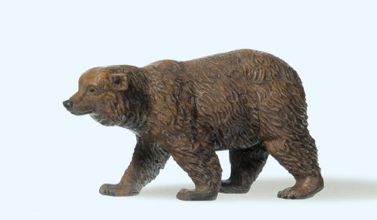 Braunbär gehend 