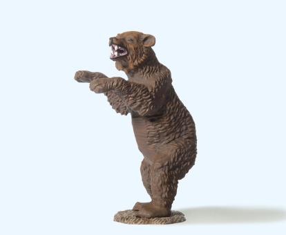 Braunbär aufrecht 