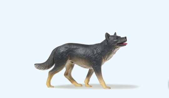 Wolf 